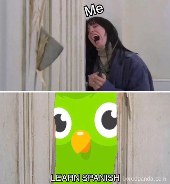 Two panels: a screaming woman behind an axe-split door, then a green cartoon owl peering through the gap captioned "LEARN SPANISH"