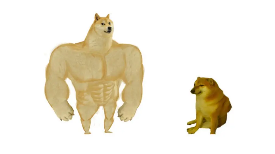 Muscular bodybuilder body with a Shiba Inu head on the left, a small hunched Shiba sitting at right, white background