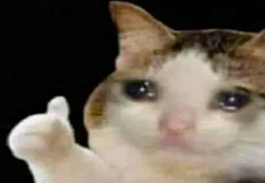 Grainy photo of a white-and-ginger cat with teary eyes, a photoshopped paw raised in a thumbs-up gesture