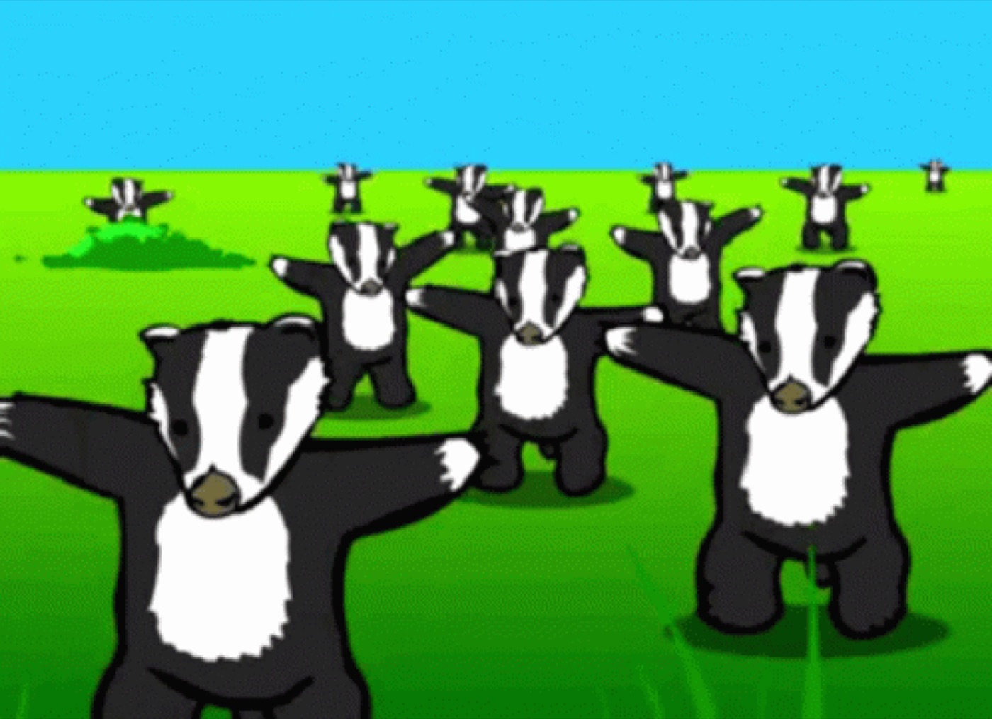 Rows of cartoon badgers standing in a green field under a blue sky, arms outstretched in a calisthenics pose