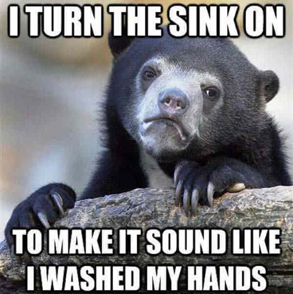 Confession Bear advice animal meme