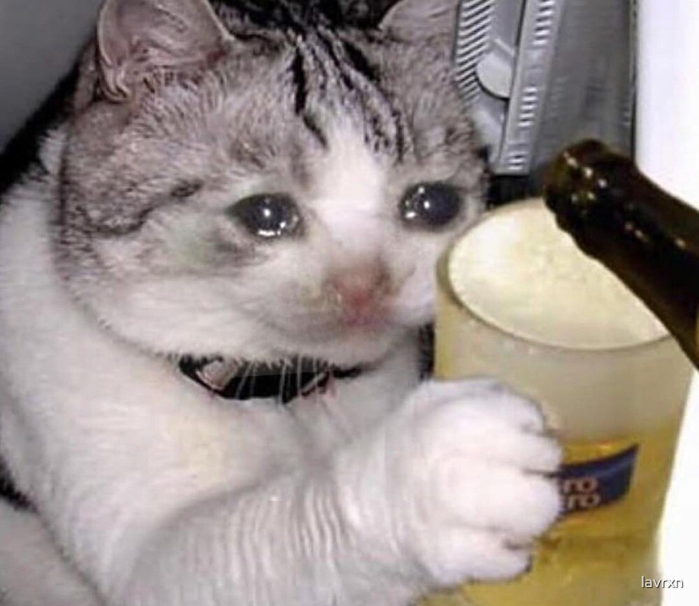 A cat with large photoshopped tears in its eyes