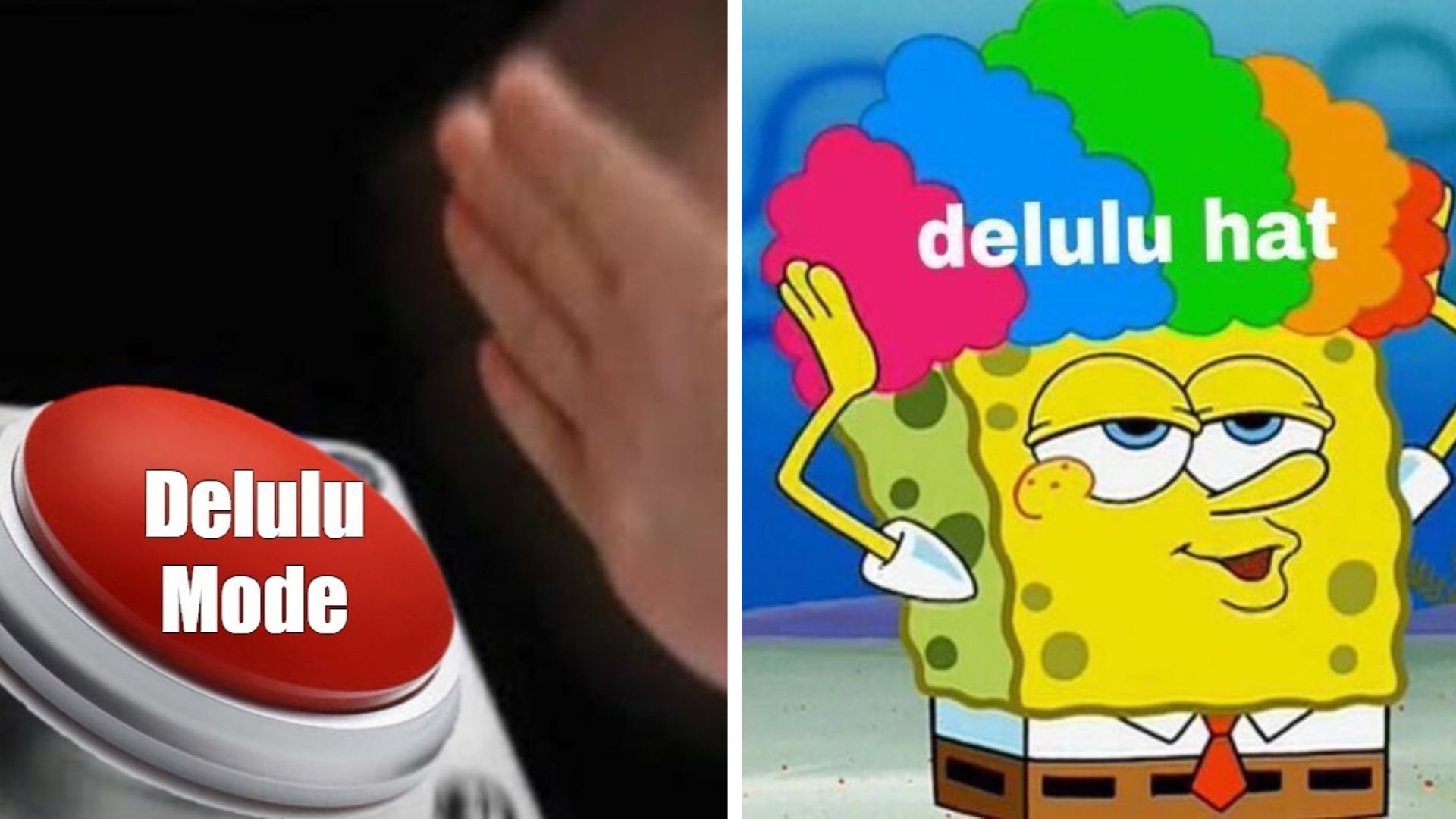 Delulu meme example