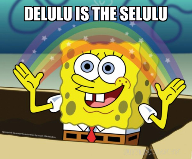 Delulu meme example