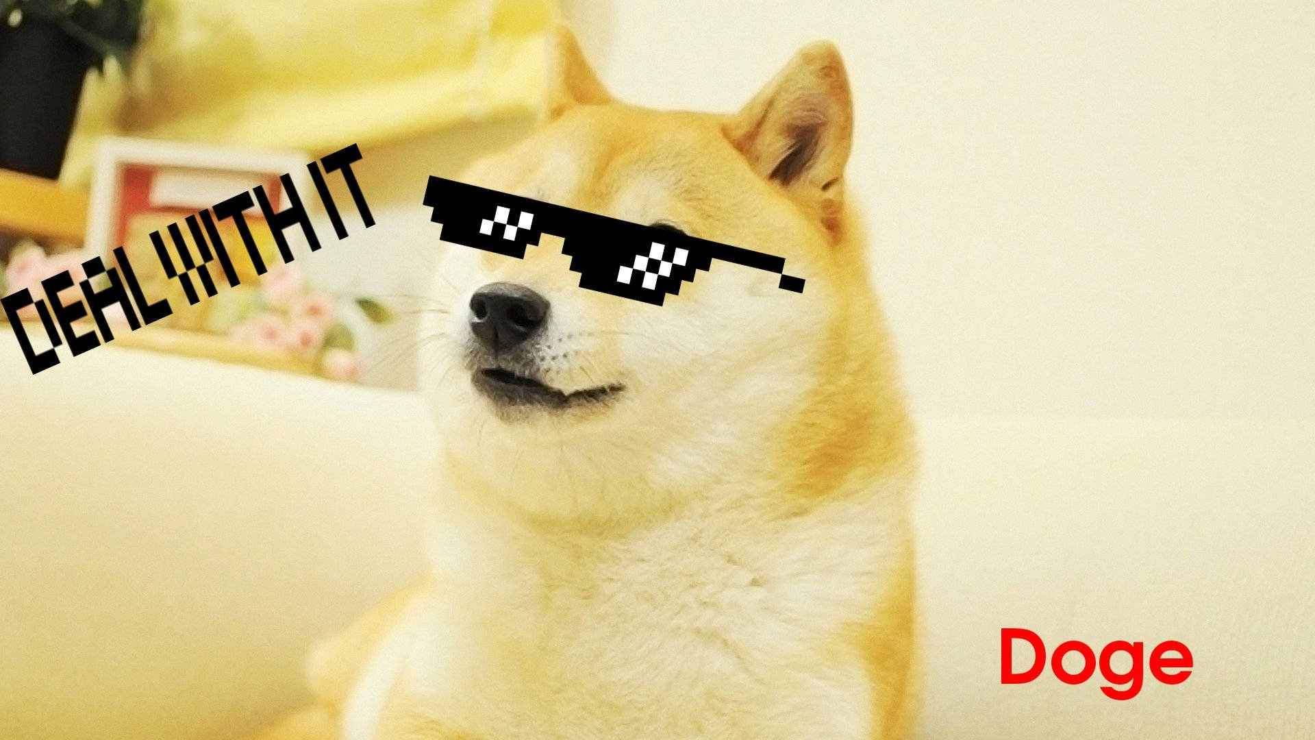 Doge meme example