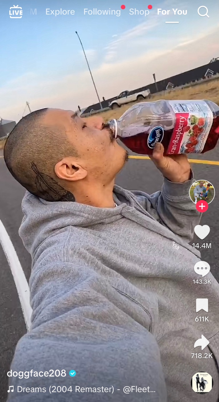 TikTok screenshot of a man in a grey hoodie swigging Ocean Spray Cran-Raspberry on a road, username "doggface208", song "Dreams"