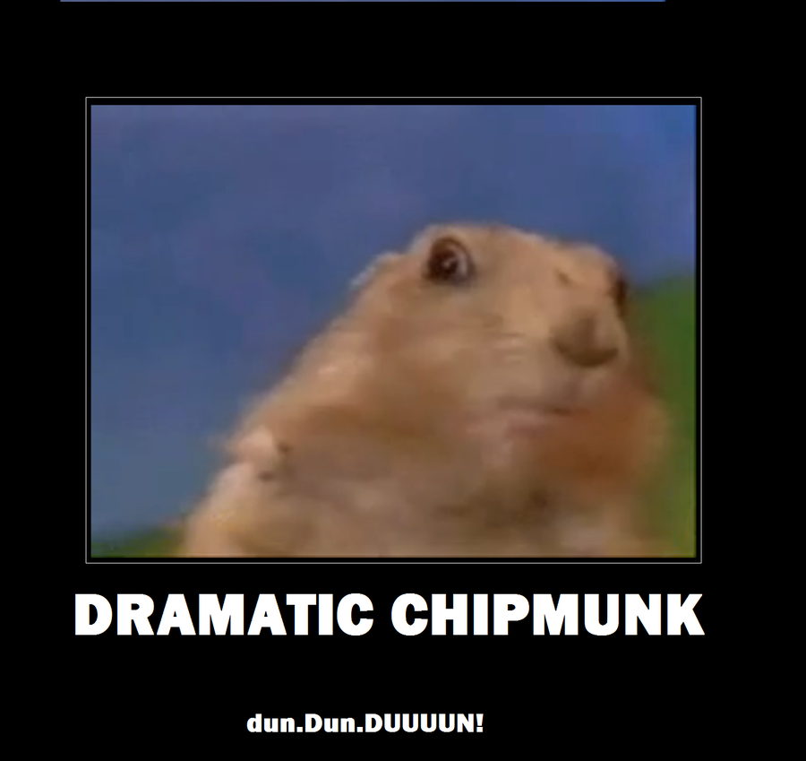 Dramatic Chipmunk meme