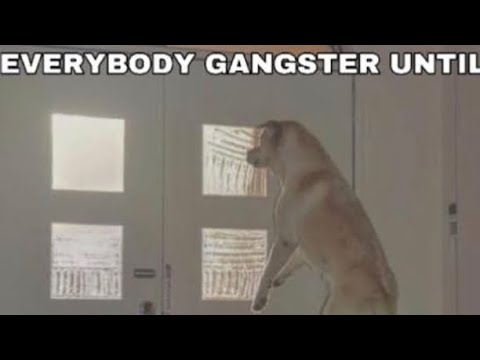 Everybody Gangsta Until meme