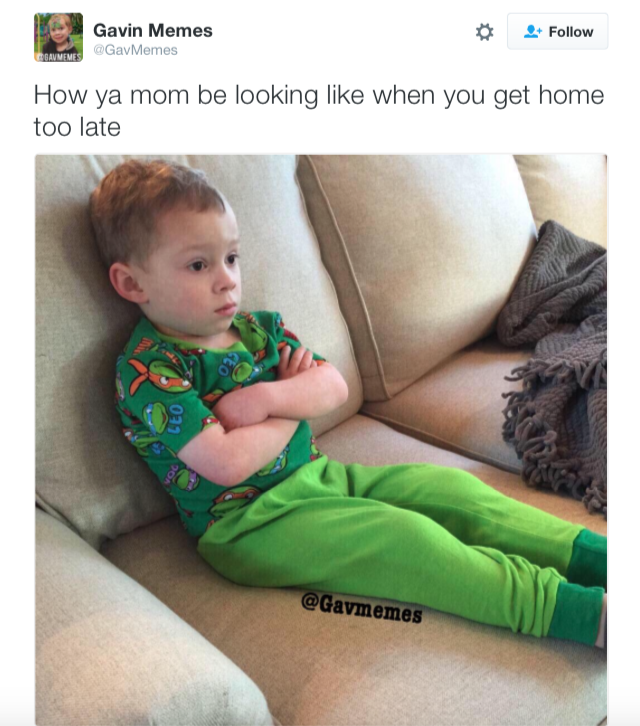 Gavin meme