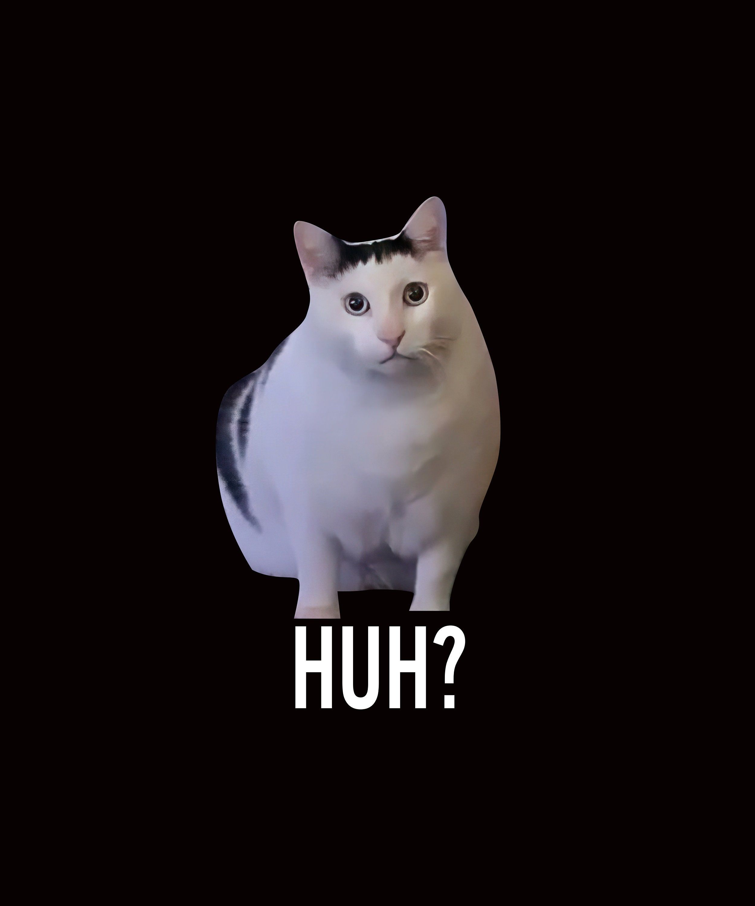Huh Cat meme example