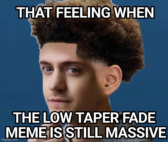 Low Taper Fade meme example
