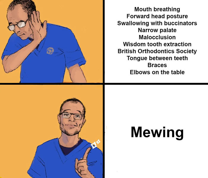 Mewing meme example