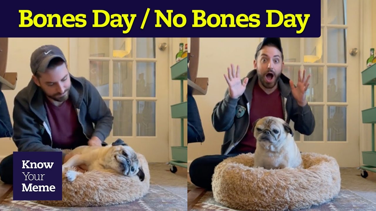 Video thumbnail titled "Bones Day / No Bones Day" showing a bearded man and a pug sitting in a fluffy bed