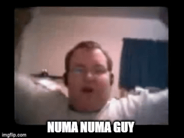 Numa Numa meme