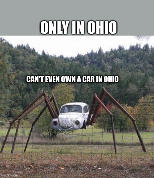 Only in Ohio meme example