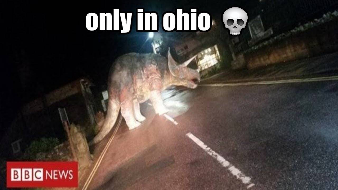Only in Ohio meme example