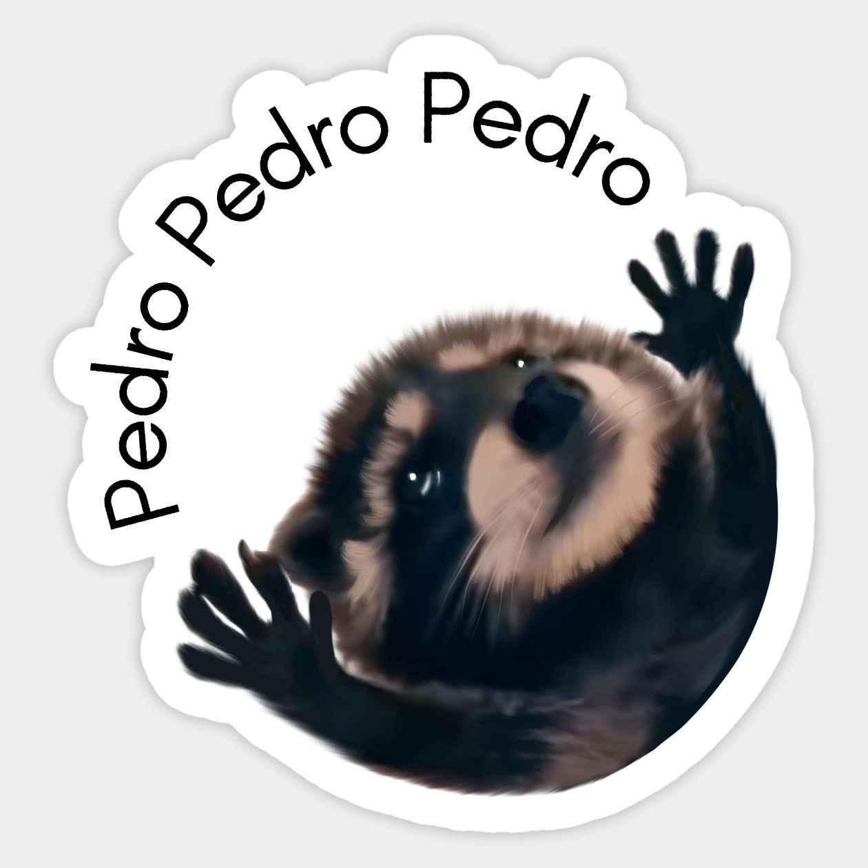 Pedro Raccoon meme example