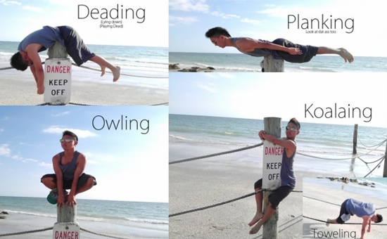 Planking meme