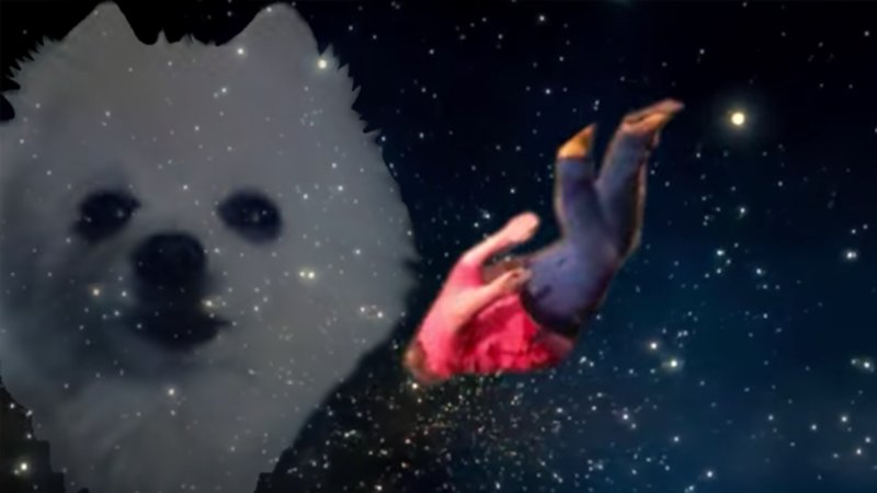 Person tumbling head-over-heels through a purple starfield beside a cut-out white fluffy dog's face