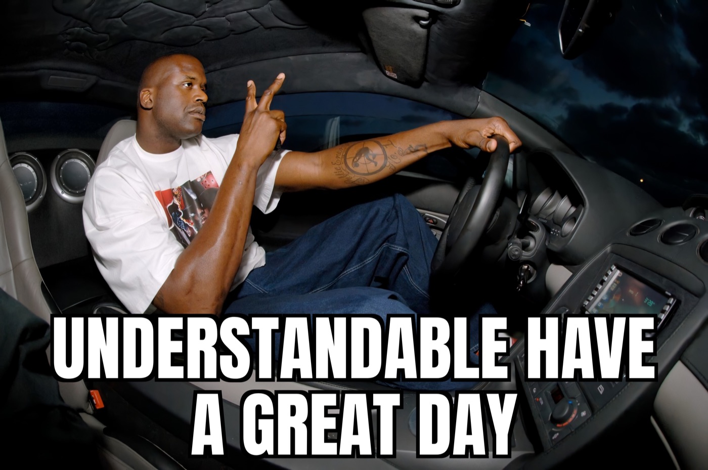 Understandable, Have a Great Day meme example