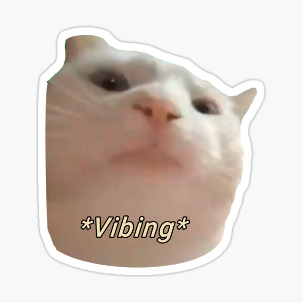 Vibing Cat meme