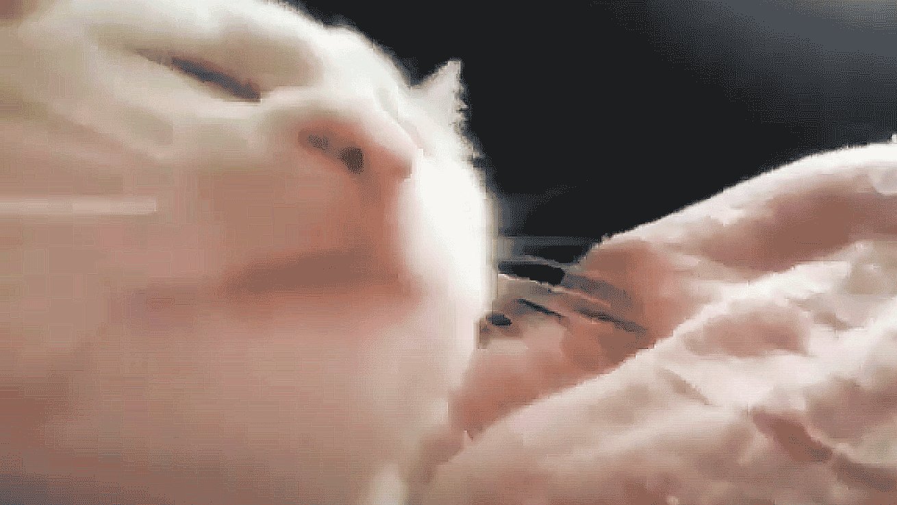 Vibing Cat meme example