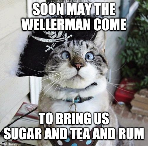 Wellerman (Sea Shanty) meme example