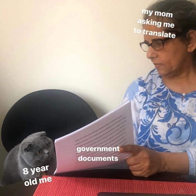 Woman Showing Papers to Grey Cat meme example