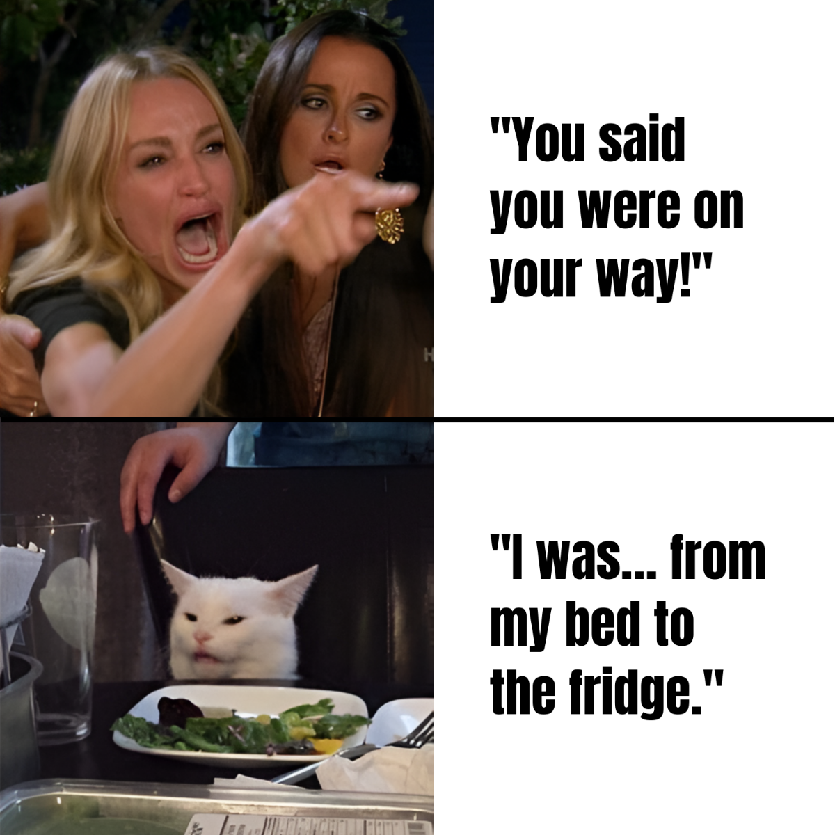 Woman Yelling at a Cat meme example