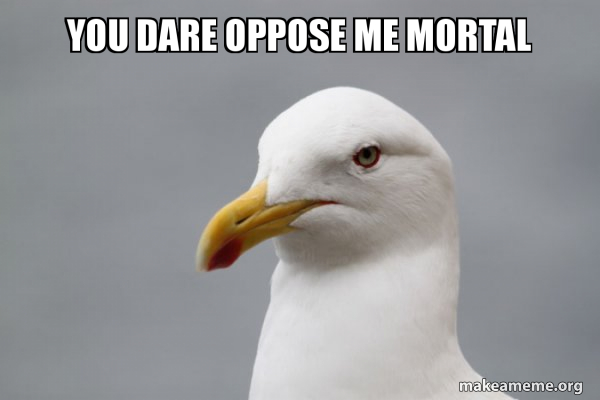 You Dare Oppose Me Mortal meme example