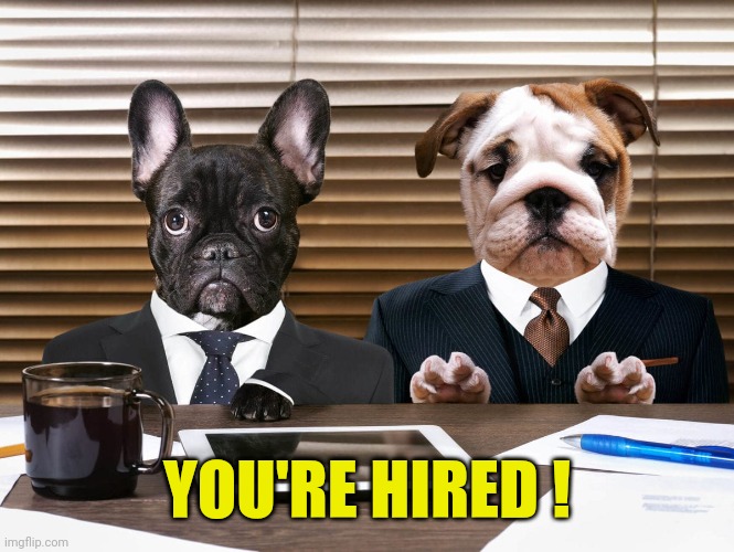 You're Hired meme