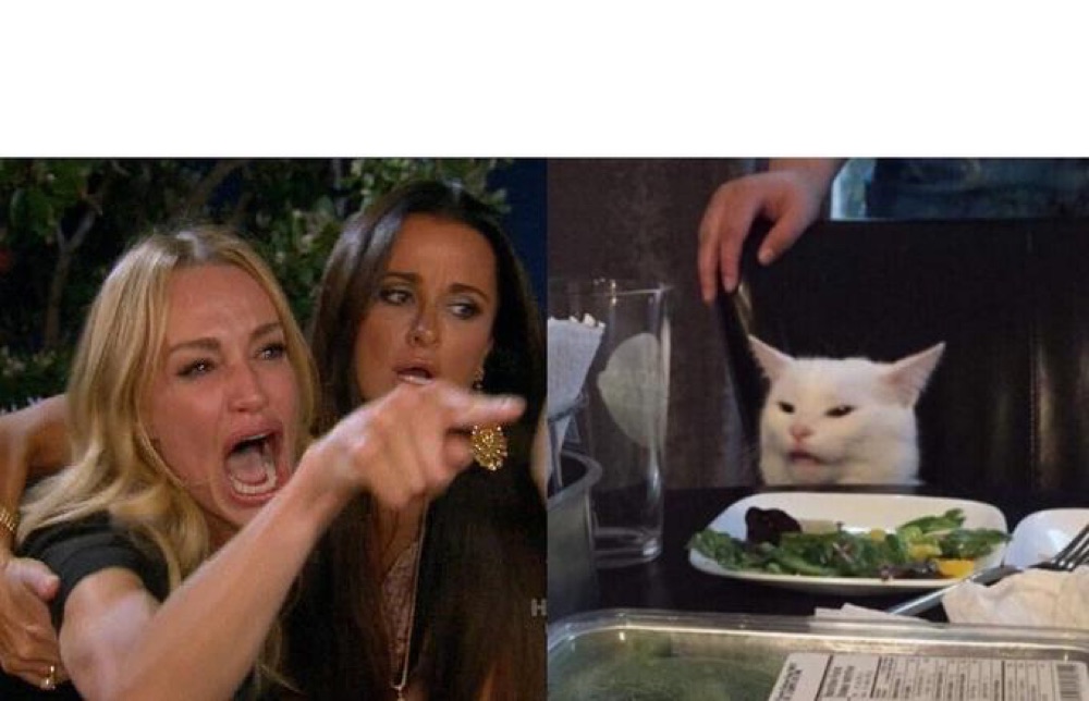 Woman Yelling at a Cat blank template